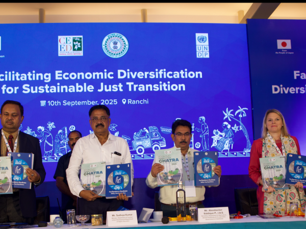 Facilitating Economic Diversification for Just Transition